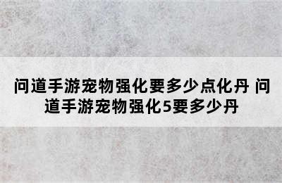 问道手游宠物强化要多少点化丹 问道手游宠物强化5要多少丹